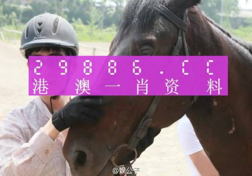 澳门今晚一肖一码必中_放松心情的绝佳选择_GM版v32.87.06