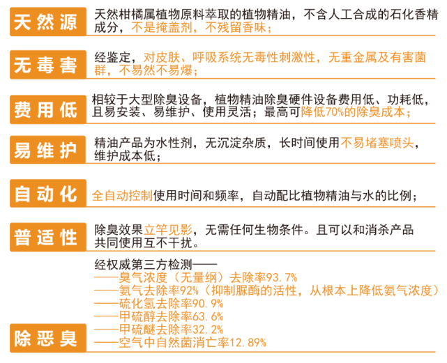 新澳六叔精准资料大全51期_详细解答解释落实_主页版v350.062