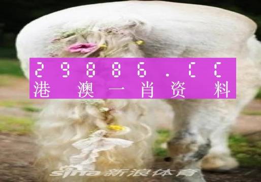 澳门官家婆四不像一肖一码_最新答案解释落实_实用版019.825