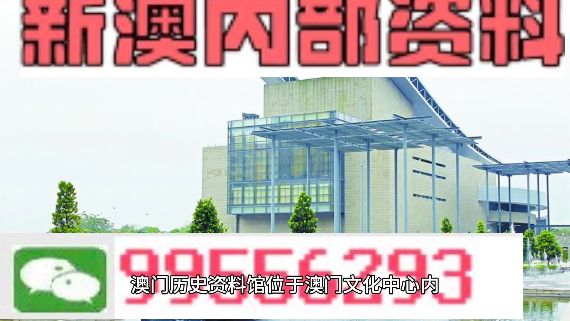 2024新澳门天天开好彩大全146期_精选作答解释落实_手机版212.848