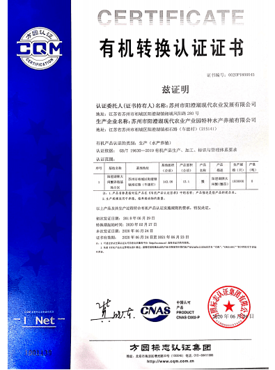 晚上澳门特马开什么_结论释义解释落实_安卓版456.983