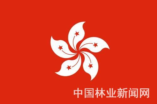 2024香港资料大全正新版_值得支持_V89.37.71