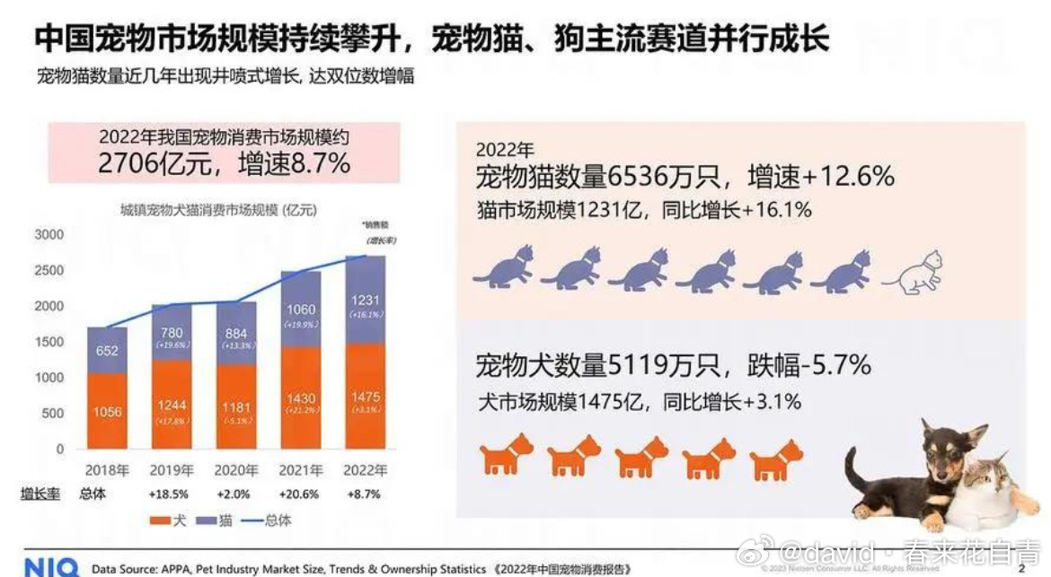 宠物经济快速增长，激活消费新潜能|界面新闻 · 快讯