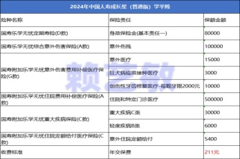 中国人寿2024年境内累计新增保险金额超700万亿元|界面新闻 · 快讯