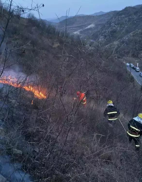 广东江门鹤山发生一起山火，明火基本扑灭|界面新闻 · 快讯