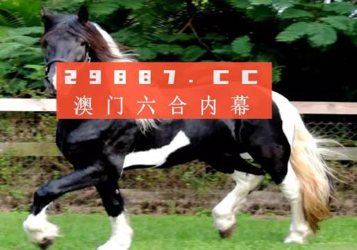 澳门香港一肖一码一中一特免费公开-全面探讨落实与释义全方位