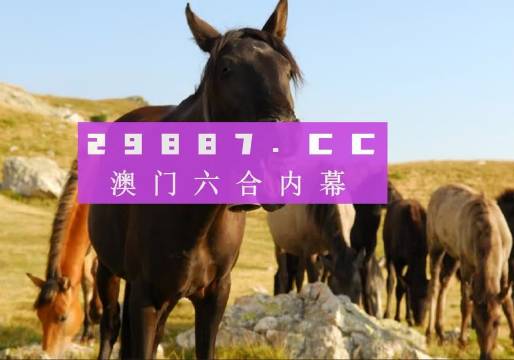 管家婆澳门一肖一码正版-AI搜索详细释义解释落实